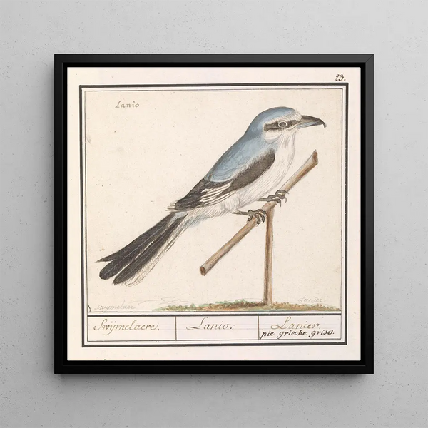 Vue du Cervin - Toni Haller — framed artwork on a wall