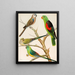 Parrot of Bourke - W. A. Blakston — framed artwork on a wall