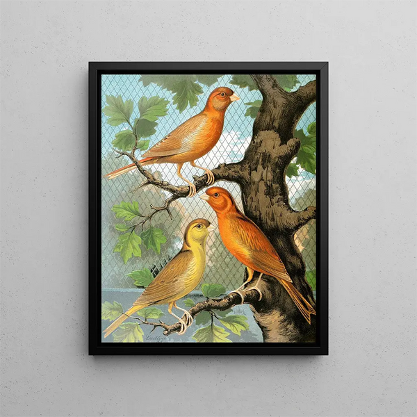 Canaris Cinnamon Painting - W. A. Blakston — framed artwork on a wall