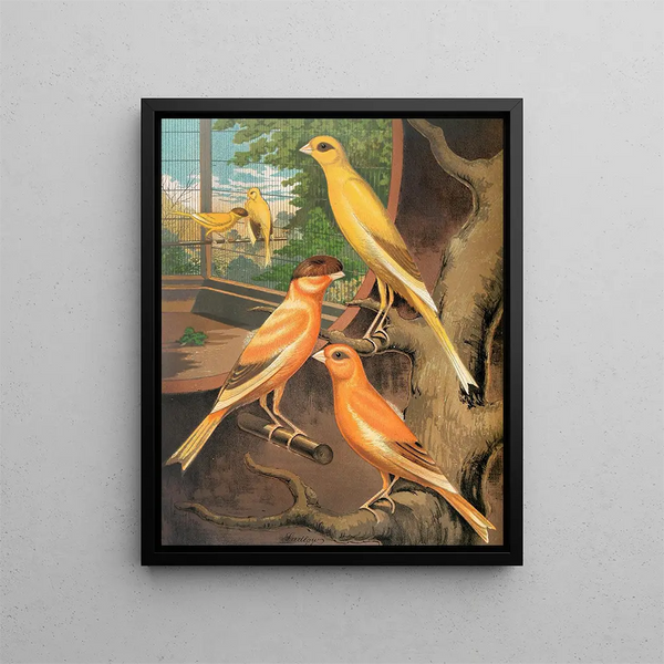 Canaris Cinnamon Painting - W. A. Blakston — framed artwork on a wall