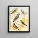 Goldfinches and Australian Estrildid Finches - W. A. Blakston — framed artwork on a wall
