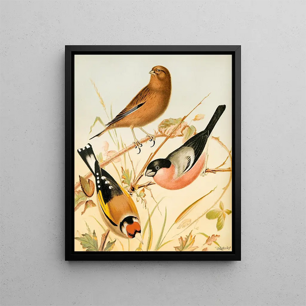 Chaffinch, linnet, and bullfinch painting - W. A. Blakston — framed artwork on a wall