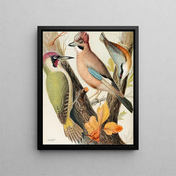 Green Jay, Jay and Nuthatch Painting - W. A. Blakston — framed artwork on a wall