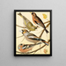 Verdier painting, tree finch, bullfinch and finch - W. A. Blakston — framed artwork on a wall