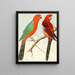 Pavillons de perroquet roi - W. A. Blakston — framed artwork on a wall