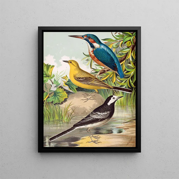 Martin painting - fisherman and reed warbler - W. A. Blakston — framed artwork on a wall