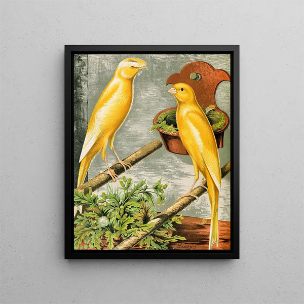 Lancashire copies painting: cock buff and yellow plainhead hen - W. A. Blakston — framed artwork on a wall