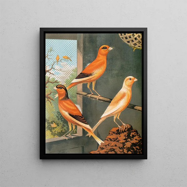 Norwich Canaris Painting: light yellow varied and uniformly marked yellow - W. A. Blakston — framed artwork on a wall