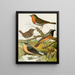 Red Painting - gorge, troglodyte, W. rougequeue, traquet - W. A. Blakston — framed artwork on a wall