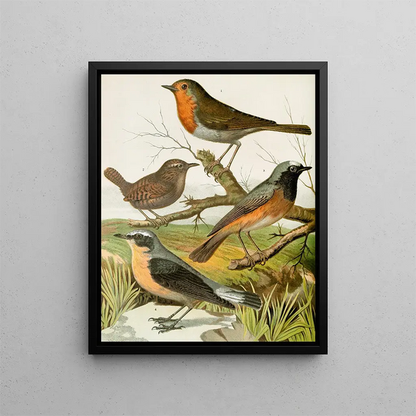 Red Painting - gorge, troglodyte, W. rougequeue, traquet - W. A. Blakston — framed artwork on a wall