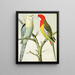 Parrot Rosella Painting - W. A. Blakston — framed artwork on a wall