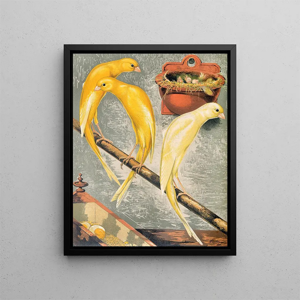 Scottish Canaries Painting - W. A. Blakston — framed artwork on a wall