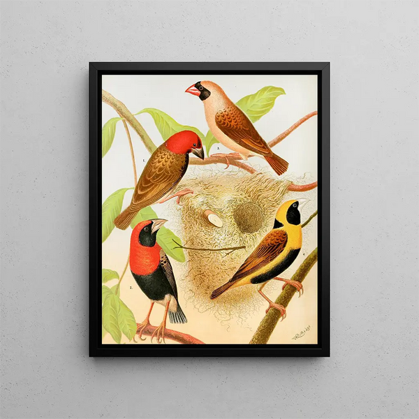 Bird Tapestry Painting - W. A. Blakston — framed artwork on a wall