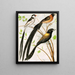 Bird painting widah - W. A. Blakston — framed artwork on a wall