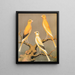 Yorkshire Canaries Painting, uniformly marked in yellow and buff, and light yellow - W. A. Blakston — framed artwork on a wall