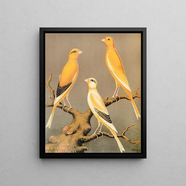 Yorkshire Canaries Painting, uniformly marked in yellow and buff, and light yellow - W. A. Blakston — framed artwork on a wall