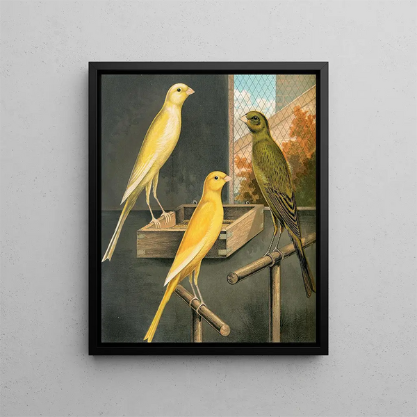 Yorkshire Canaries Painting - W. A. Blakston — framed artwork on a wall