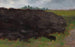 Landscape - Władysław Ostrowski — artwork view