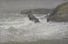Coastal Scene Painting - Walter Crane — artwork view