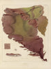 Botanical cryptogamic painting of the voyage to Antarctica of the ships HM Discovery Erebus and Terror in the years 1839 Pl17 - Walter Hood Fitch — artwork view