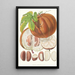 Hodgsonia Heteroclita H f et T Fruit - Walter Hood Fitch — framed artwork on a wall