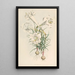 Lilium Philipinense - Walter Hood Fitch — framed artwork on a wall