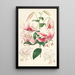 Lilium speciosum - Walter Hood Fitch — framed artwork on a wall