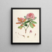 Les Rhododendrons du Sikkim-Himalaya Pl22 - Walter Hood Fitch — framed artwork on a wall