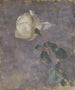 Rose - Walther Gamerith — artwork view