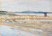 Beach of Tunis - Wassily Kandinsky — artwork view