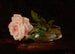 Nature morte with roses - Wilder M. Darling — artwork view
