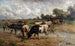 Herd of cattle at a water point in a vast landscape - Wilhelm Frey — artwork view