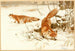 Common Fox - Wilhelm Kuhnert — artwork view
