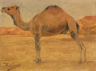 Dromedary Painting - Wilhelm Kuhnert — artwork view