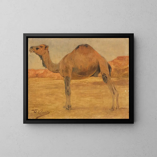 Dromedary Painting - Wilhelm Kuhnert — framed artwork on a wall