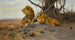 Lions grondants - Wilhelm Kuhnert — artwork view