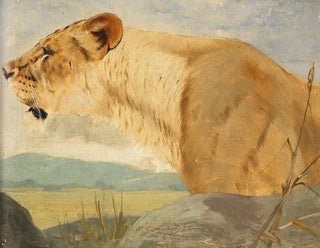 Head of Lioness - Wilhelm Kuhnert — artwork view