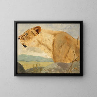 Head of Lioness - Wilhelm Kuhnert — framed artwork on a wall