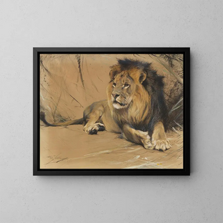 Lion lying down - Wilhelm Kuhnert — framed artwork on a wall