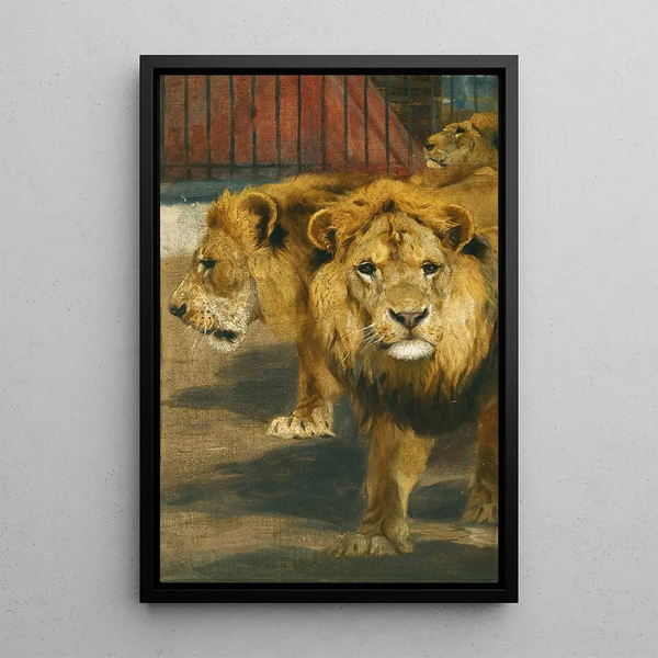 Lions - Wilhelm Kuhnert — framed artwork on a wall