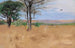 East Africa - Wilhelm Kuhnert — artwork view