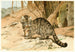 Wild Cat Painting - Wilhelm Kuhnert — artwork view