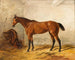 a brown horse in a stable with a saddle blanket - Wilhelm Richter — artwork view