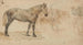 Études d'un cheval - Willem Carel Nakken — artwork view