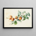 Apricots on a branch signed - Willem Hekking — framed artwork on a wall