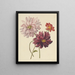Dahlias - Willem Hekking — framed artwork on a wall