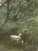 Ducks in the Water - Willem Maris — artwork view