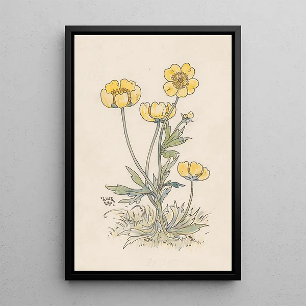 Buttercups - Willem Wenckebach — framed artwork on a wall