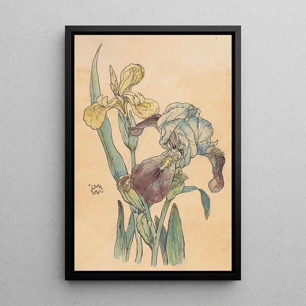 Iris Painting - Willem Wenckebach — framed artwork on a wall