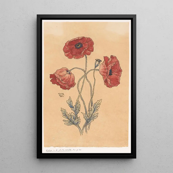 Poppies - Willem Wenckebach — framed artwork on a wall